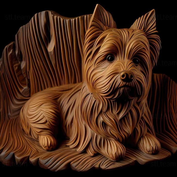 3D model Beaver is a Yorkshire terrier dog (STL)